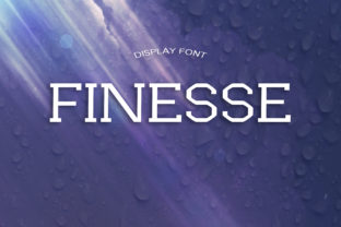 Finesse Font: A Timeless Display Font with Editorial Elegance