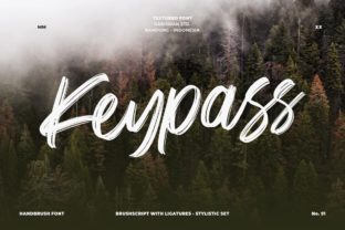 Keypass: A Bold and Fresh Brush Font to Ignite Your Creativity
